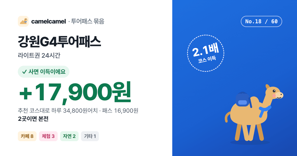 강원G4투어패스 링크 미리보기 이미지